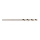 Metallbohrer HSS-G THUNDERWEB DIN 338   10er Pack 1,7 x...