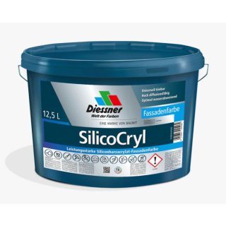 Diessner SilicoCryl FA RM 12,5 Liter