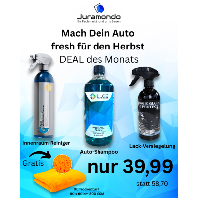 Fresh für den Herbst Auto Aktion + GRATIS Trockentuch
