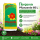 Florgamin Pflanzerde 60 L – Nährstoffreiche Universalerde für Garten & Pflanzen