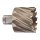 HSS Kernlochbohrer, kurz 50 x 30 mm